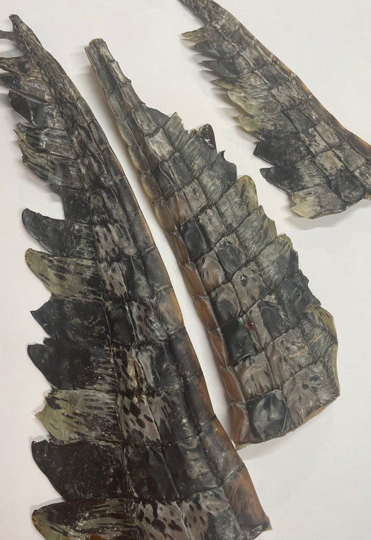 The Pawfect Butcher Dehydrated Crocodile Tails
