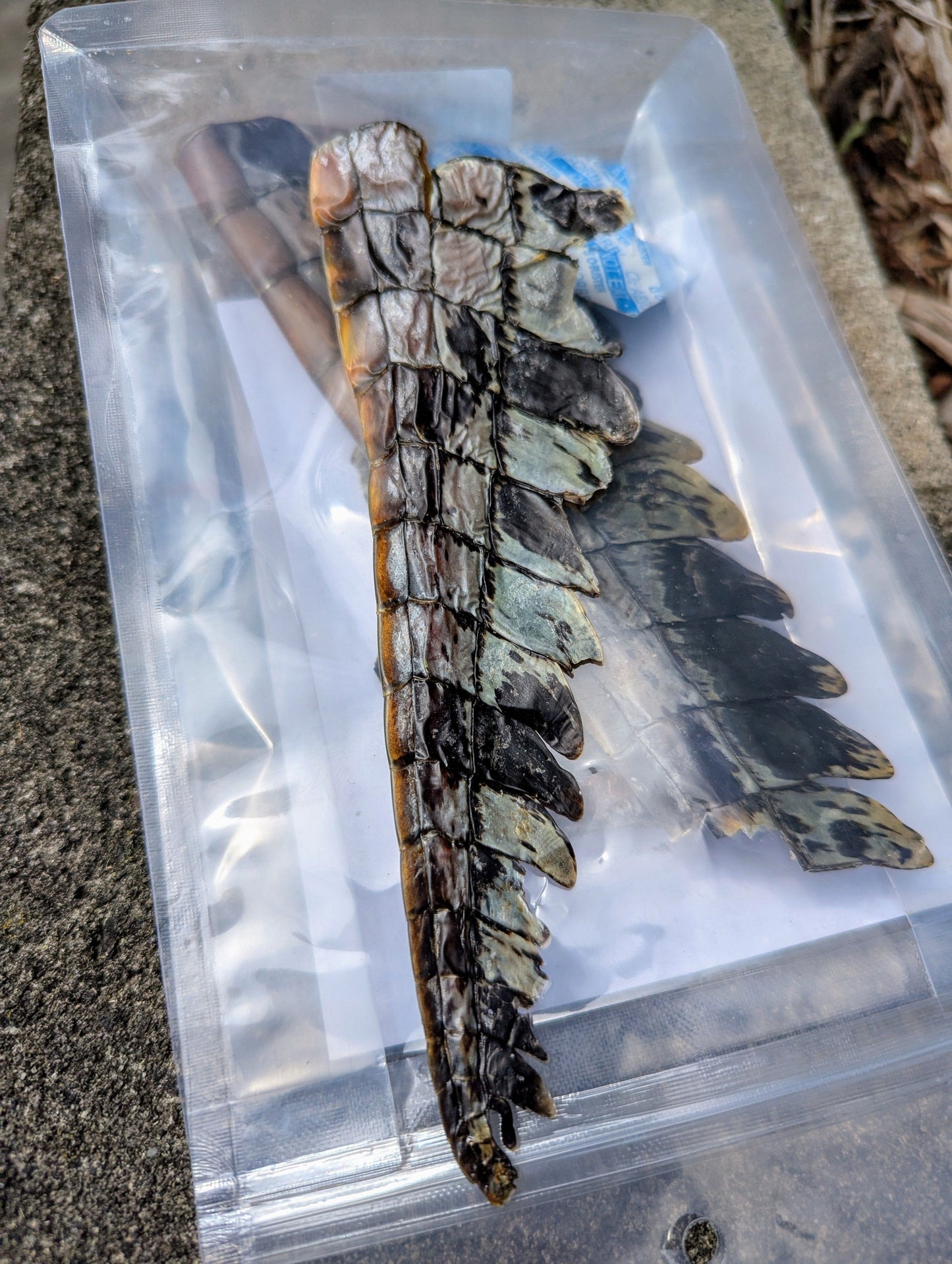 The Pawfect Butcher Dehydrated Crocodile Tails