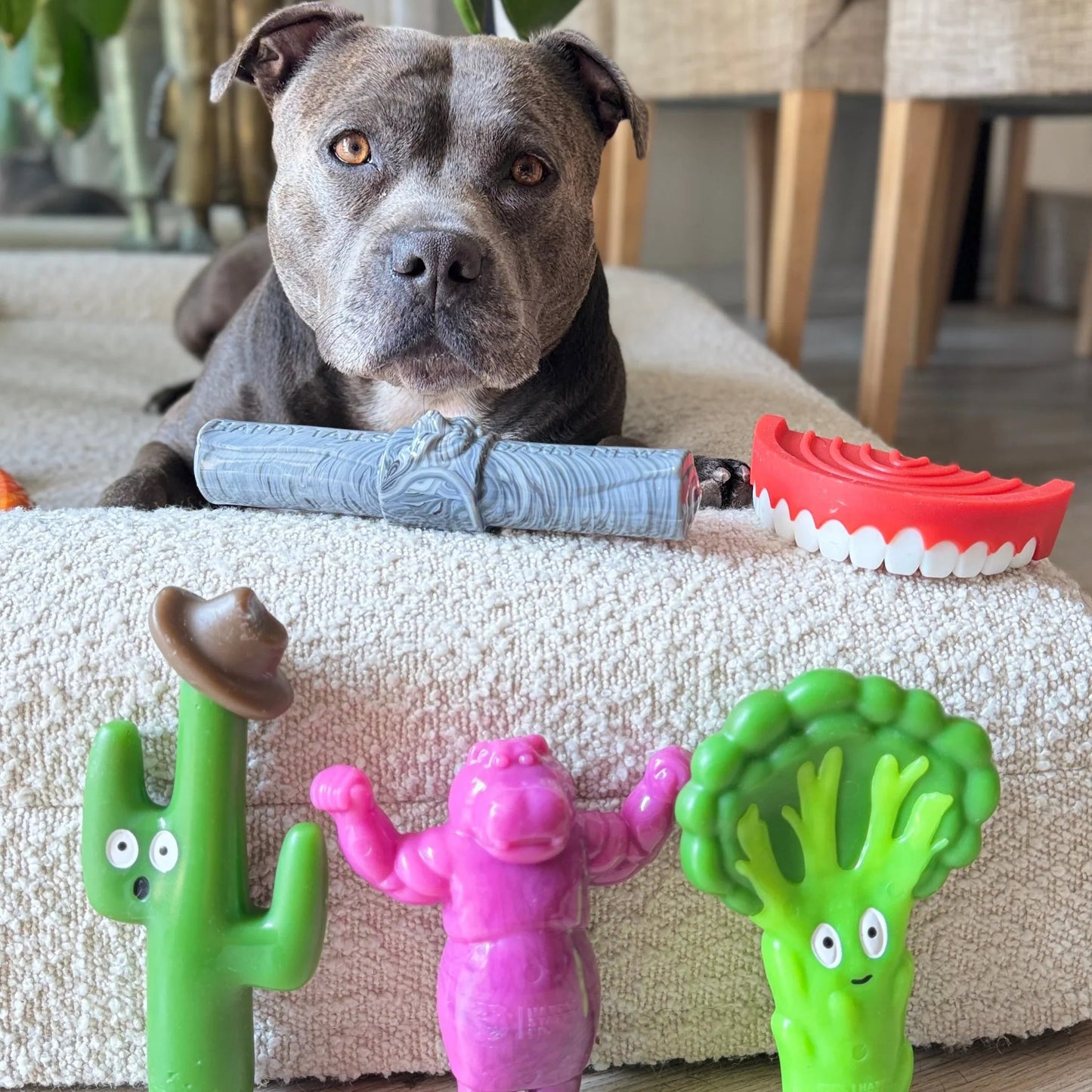 Happy Staffy Co. Cactus Cowboy