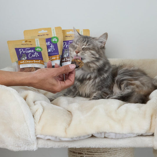 Kazoo Prime Cuts Cats Duck Hearts 60g