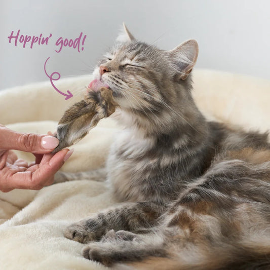 Kazoo Prime Cuts Cats Furry Rabbit Ears 4pk