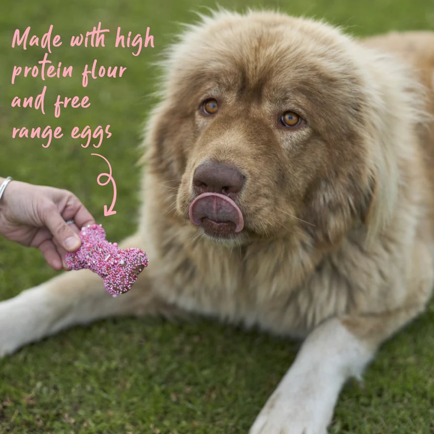 Kazoo Dog Bone Biscuit Pink