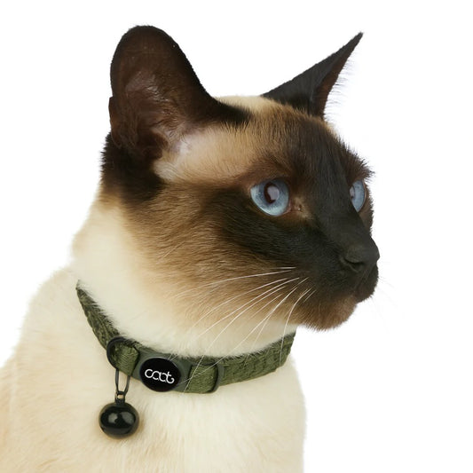 DOOG CAAT Quick Release Kitten Collar Green