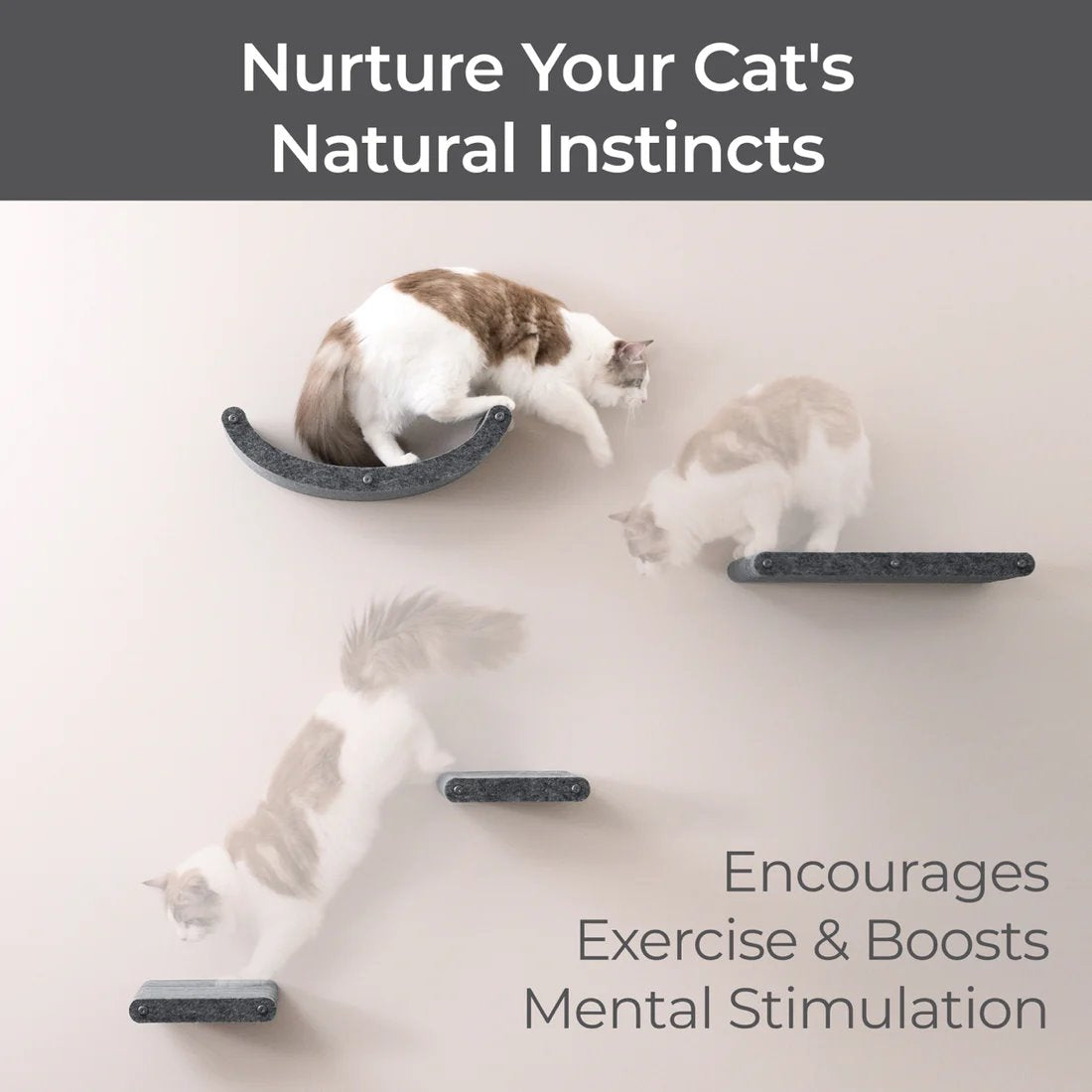 Pryde Charcoal Curved Nest Cat Climber