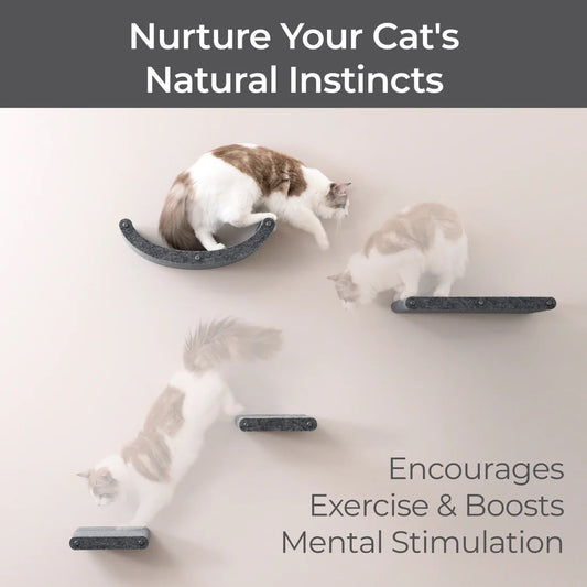 Pryde Charcoal Curved Nest Cat Climber