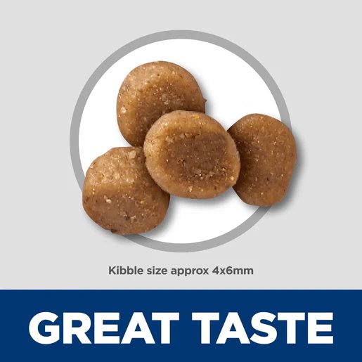 Hill's Science Diet Kitten Sensitive Stomach and Skin Salmon Dry Cat Food