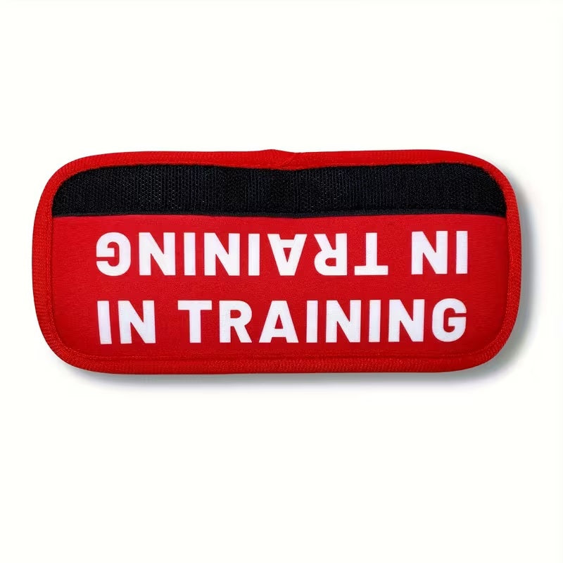 In Training Dog Double Sided Dog Leash/Harness Tag