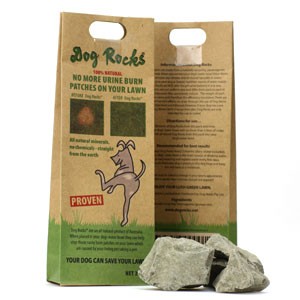 Dog Rocks
