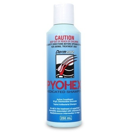 Pyohex Medicated Shampoo