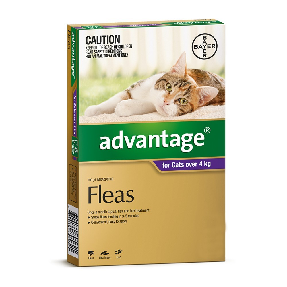Advantage Large Cat over 4KG (Purple)