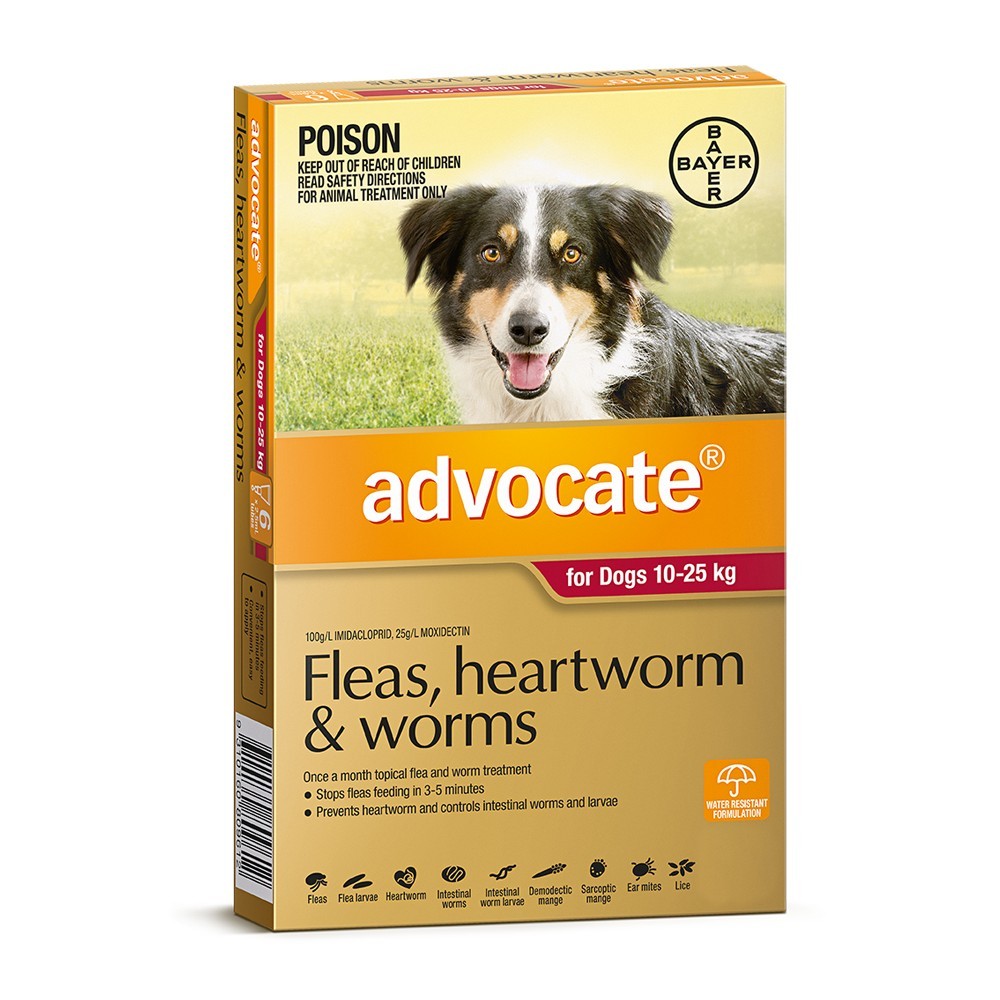 Advocate Dog Large Red 10-25KG