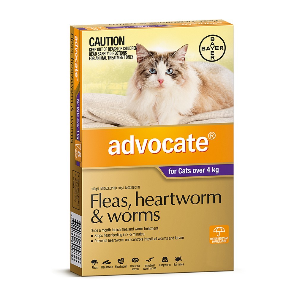 Advocate Cat Large Purple Over 4KG
