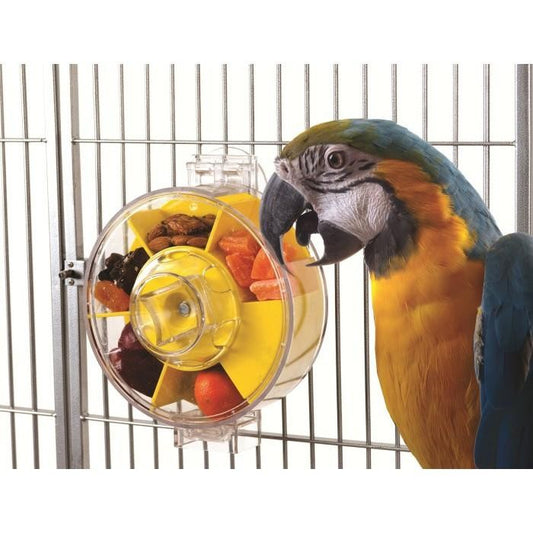Creative Foraging Generation II Large Wheel Bird Toy