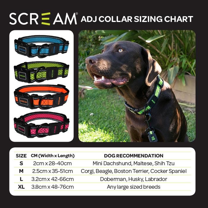 Scream Reflective Collar (Loud Green)