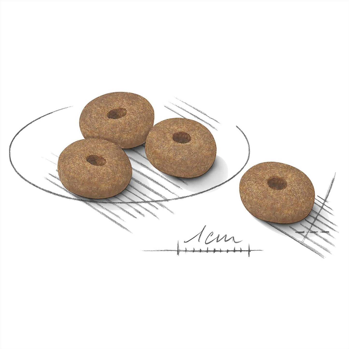 Royal Canin Mini Lightweight Care Dry Dog Food