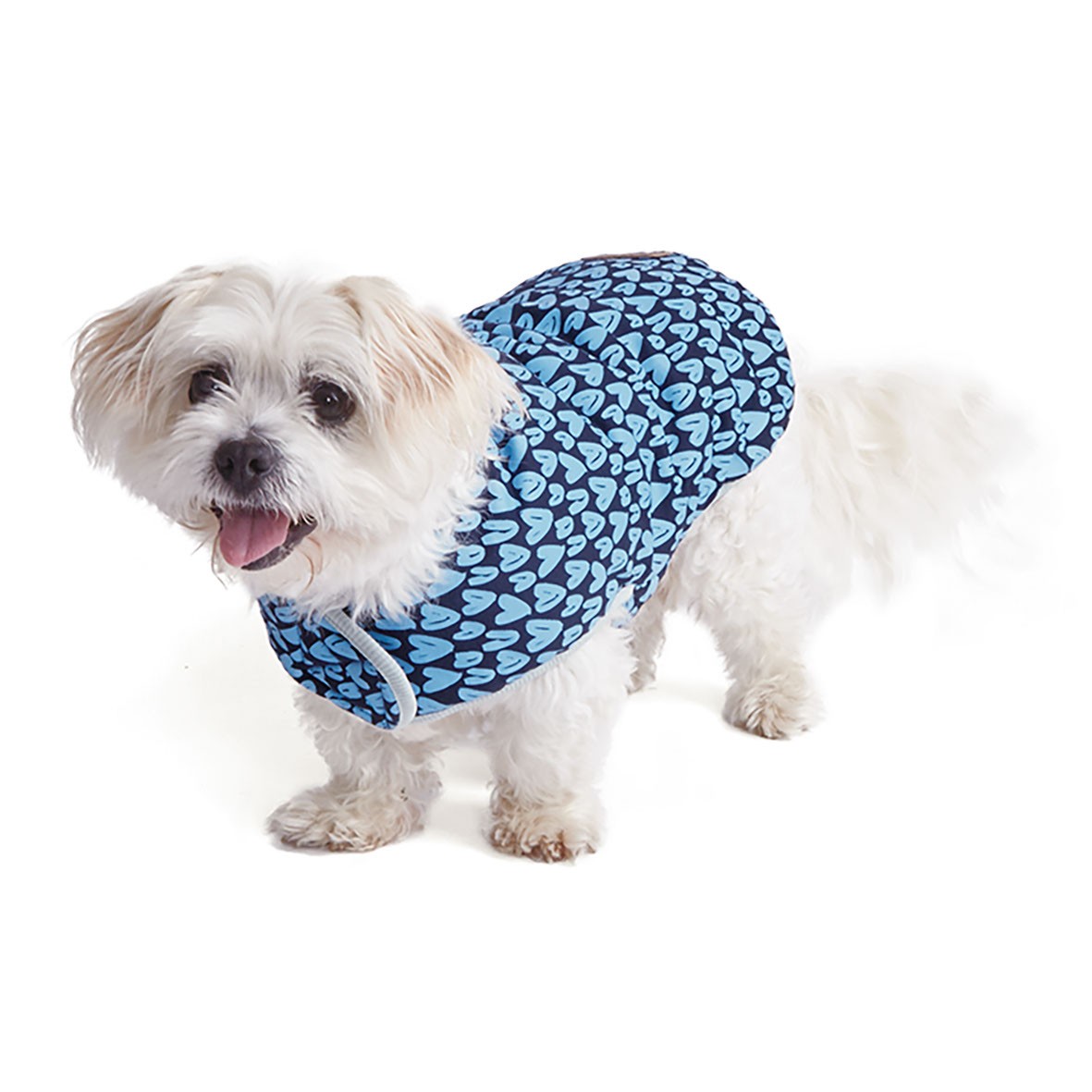 Kazoo Blue Love Snuggie