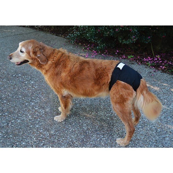 Zeez Washable Diapers Small (Waist 24-34cm)