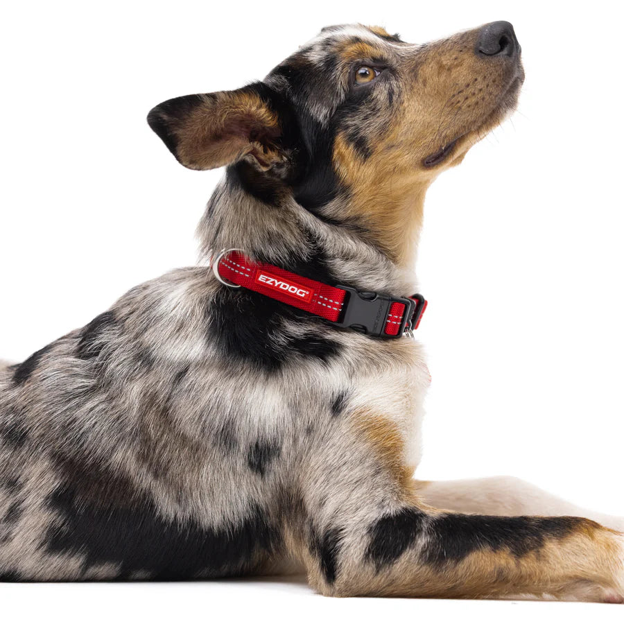 EzyDog Essential Adjustable Collar Palm Green