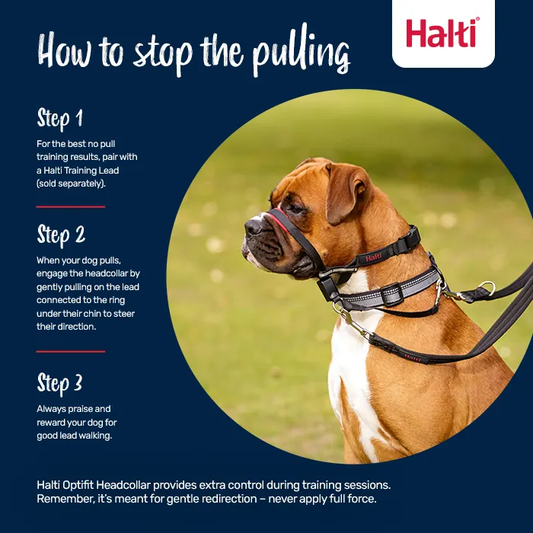 Halti Optifit Head Collar Black