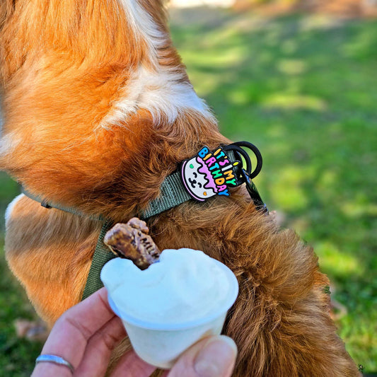 Jiby Dog Crew Dog Jibys It's My Birthday Charm