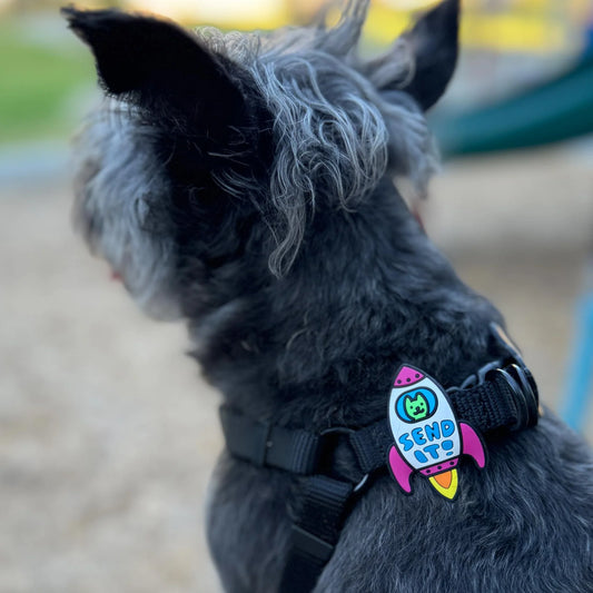 Jiby Dog Crew Dog Jibys Send It Charm