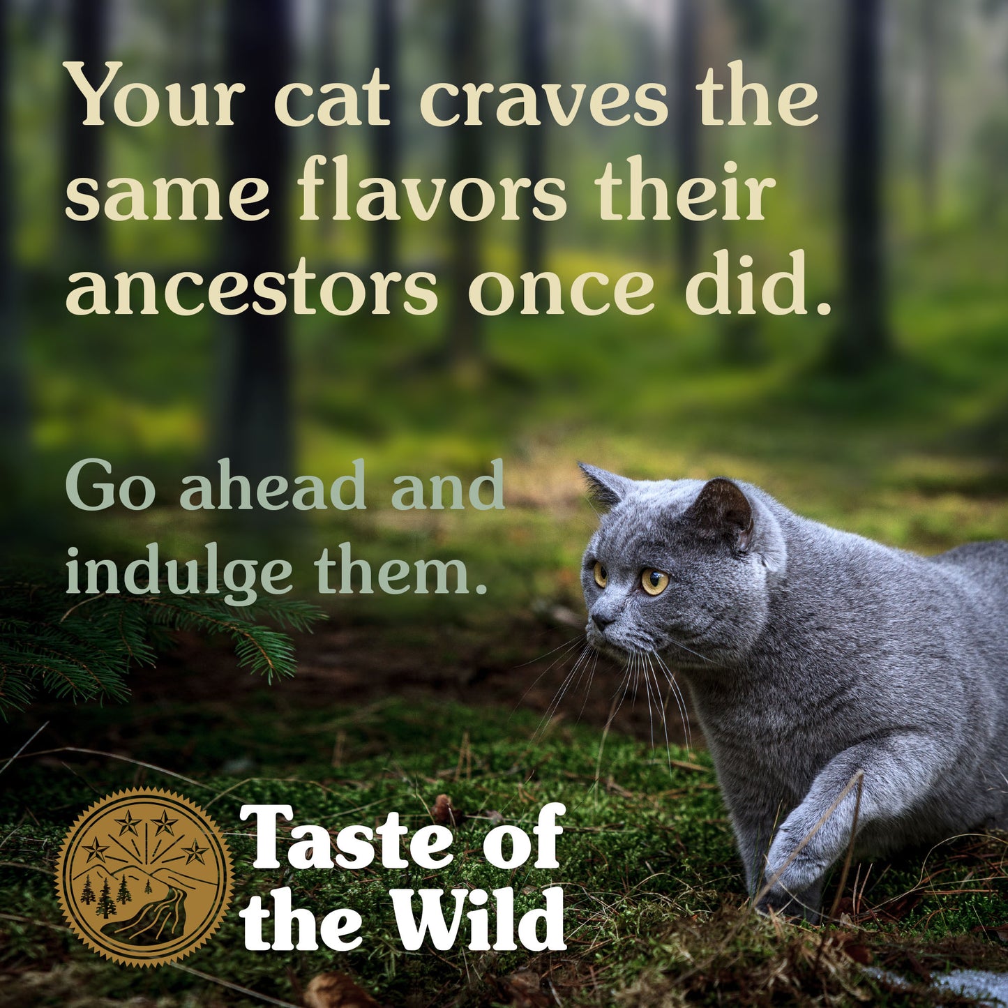 Taste of the Wild Rocky Mountain Feline with Roasted Venison & Smoked Salmon 2kg