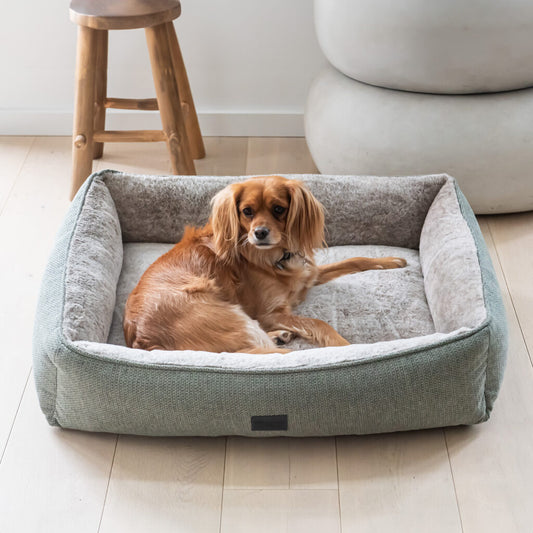 Superior Pet Goods Dog Lounger Sage Large