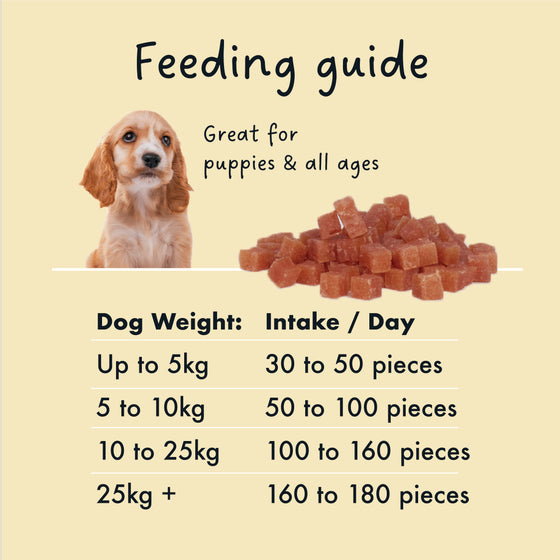 KIDDO Training Soft Chicken Chunks Dog Treats 90g