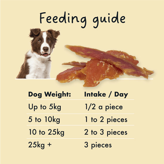 KIDDO Value Jerky Chicken Tenders Dog Treats 450g