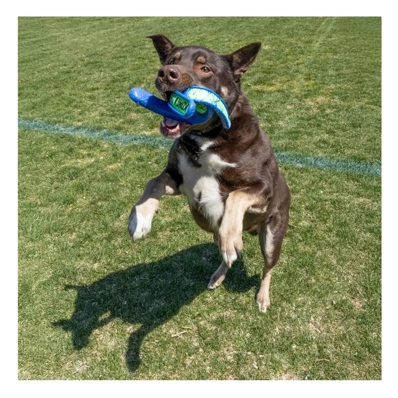 KONG Whirlz Throw Dog Toy Medium/Large