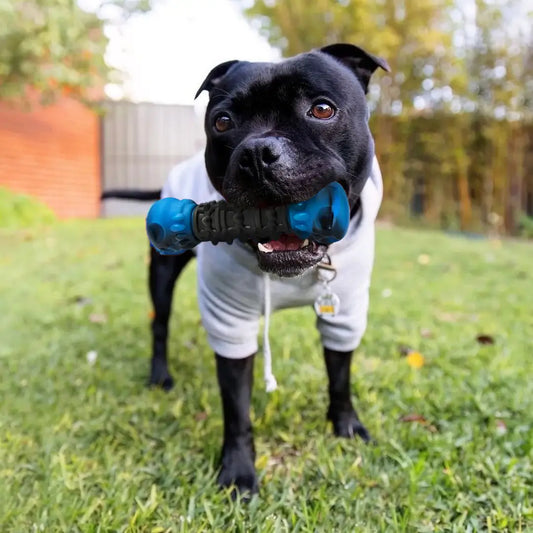 Happy Staffy Co Nylon Skull Bone