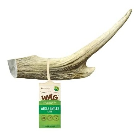 WAG Whle Deer Antler Large