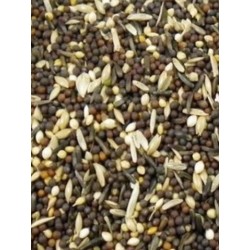 Avigrain Plain Canary Seed 20kg (WAREHOUSE PICK UP ONLY)