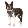 DOOG Neoflex Dog Harness Pongo