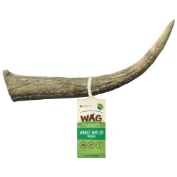 WAG Whole Deer Antler Medium