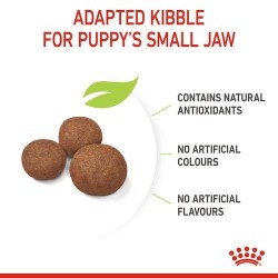 Royal Canin Medium Puppy Dry Dog Food