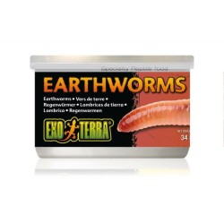 Exo Terra Canned Earthworms 34g