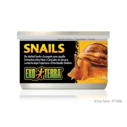 Exo Terra Snails Unshelled 48g