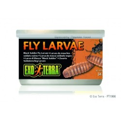 Exo Terra Black Soldier Fly Larvae 34g