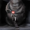 EzyDog Drive Dog Booster Cat Seat