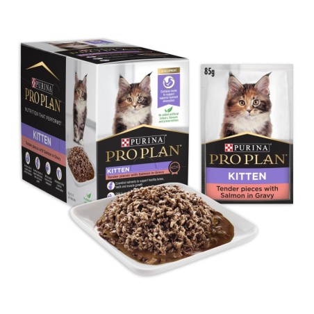 Pro Plan Kitten Salmon Gravy Wet Cat Food Pouches