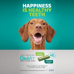 Oravet Small Dog Dental Chews 28 Pack
