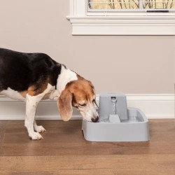 Drinkwell 3.7L Pet Dog Water Fountain