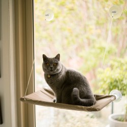 Kazoo The Lookout Window Cat Bed