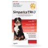 Simparica Trio Extra Large Dog 40.1-60kg Red