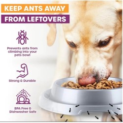 Pet Basic Original Anti-Ant Dog Bowl Grey
