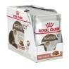Royal Canin Ageing 12+ Wet Cat Food in Gravy
