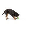 West Paw Rumbl Dog Toy Jungle Green