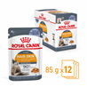 Royal Canin Intense Beauty Adult in Jelly