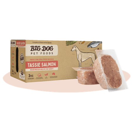 Big Dog Tasmanian Salmon Raw Dog Food (12x250g/3kg)